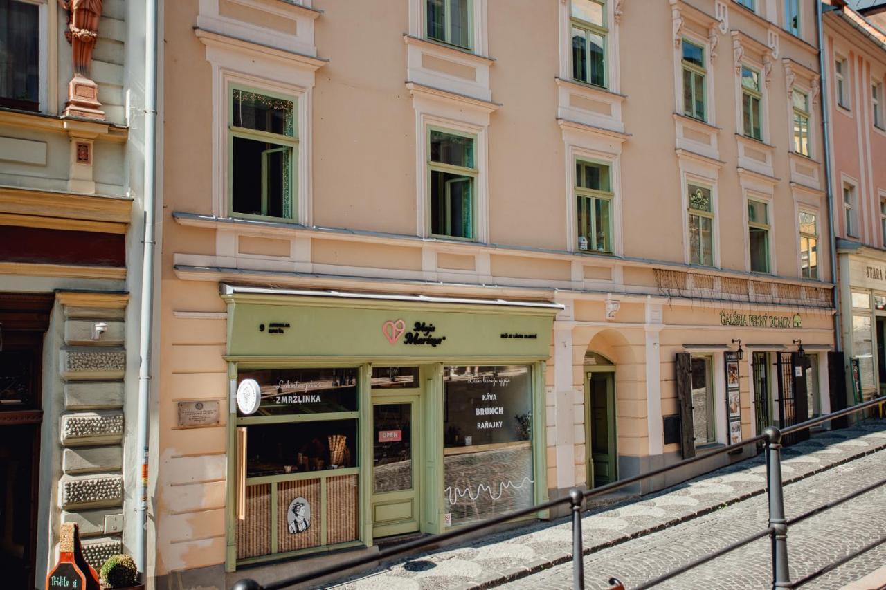 Priestranny Apartman Moja Marina V Srdci Stiavnice Banska Stiavnica Bagian luar foto